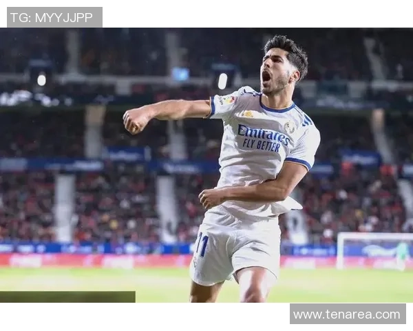 北欧足球巨星的传奇故事与绿茵场辉煌岁月追寻 北欧足球巨星的传奇故事与绿茵场辉煌岁月追寻