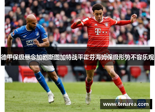 德甲保级悬念加剧斯图加特战平霍芬海姆保级形势不容乐观