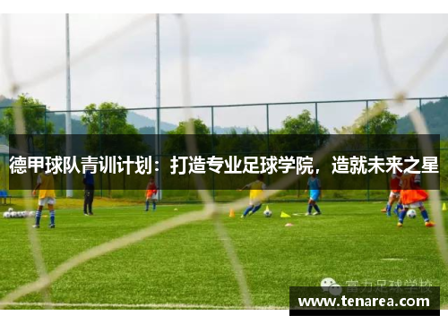 德甲球队青训计划：打造专业足球学院，造就未来之星