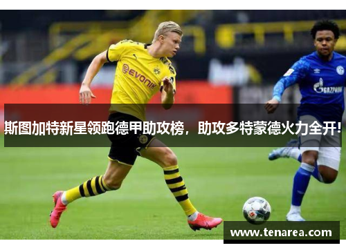 斯图加特新星领跑德甲助攻榜，助攻多特蒙德火力全开!