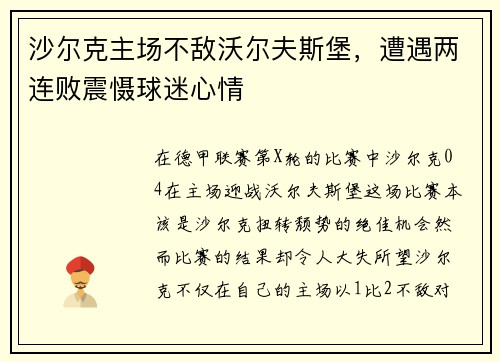 沙尔克主场不敌沃尔夫斯堡，遭遇两连败震慑球迷心情