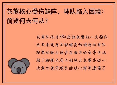 灰熊核心受伤缺阵，球队陷入困境：前途何去何从？